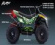 Droyd Fury Electric Youth Quad