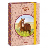 Ars Una: My Sweet Horse Reitpferd A4 Heftbox