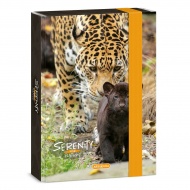 Ars Una: Serenity Jaguar A5-Ordnerbox