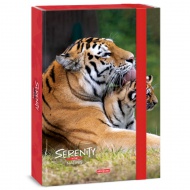 Ars Una: Serenity Tiger - Tiger A4-Heftbox mit 4 cm Rückenbreite