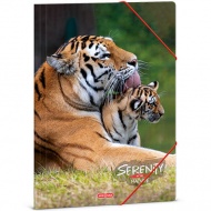 Ars Una: Serenity Tiger Gummibandmappe, A4-Ordner