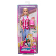 Barbie: Reiter Malibu Puppe - Mattel