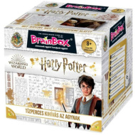 BrainBox - Harry Potter Gesellschaftsspiel