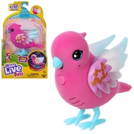 Little Live Pets: Skyler interaktiver Papagei mit Licht und Ton