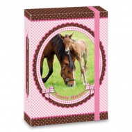 My Horse Heftbox A5