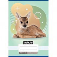 Nebulo: Bambi-Muster 4. Klasse liniertes Heft A/5 21-32