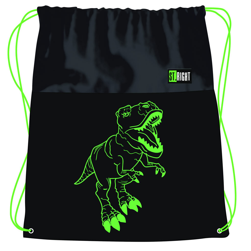 St.Right T-Rex Dinosaurier-Muster Turnbeutel, Sportbeutel 43x32cm