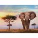 Afrikanischer Sonnenuntergang HQC Puzzle 500 Teile - Clementoni