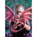 Anne Stokes: Dragonkin 1000-teilige Puzzle - Clementoni