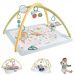 Fisher-Price: Sensimals Spielmatte - Mattel