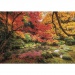 Im Herbst im Park 1500-teiliges HQC-Puzzle 84,5x59,5cm - Clementoni