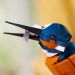 LEGO® Icons: Eisvogel (10331)