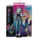 Monster High™: Frankie Stein Puppe mit Haustier und Zubehör - Mattel