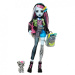 Monster High Puppe - Schrecklich neue Frankie Stein - Mattel