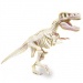 Science &amp; Play: T-Rex fluoreszierendes archäologisches Set - Clementoni